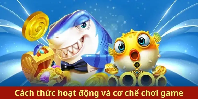 Bí Kíp Săn Cá Đỉnh Cao Cách Chơi Bắn Cá Royal Fishing Tại 22Bet 1 Bí Kíp Săn Cá Đỉnh Cao Cách Chơi Bắn Cá Royal Fishing Tại 22Bet