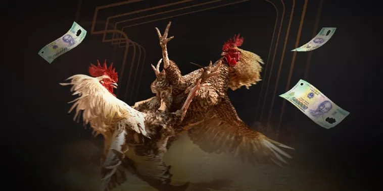 Trải Nghiệm Sảnh Cược Đá Gà 22Bet Đỉnh Cao Với Tỷ Lệ Cược Hấp Dẫn